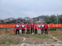 肇庆市科协党支部开展“我为绿美乡村种棵树” 主题党日活动