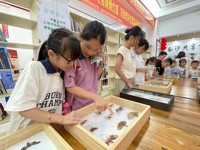 揭阳市举办“展示科技成果及科普知识，助力绿美普宁，推动揭阳高质量发展”科普活动