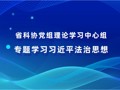省科协党组理论学习中心组专题学习习近平法治思想