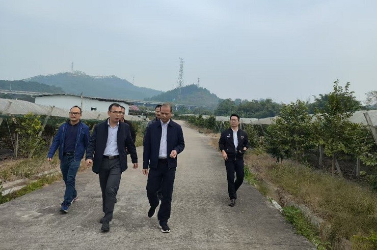 省“双百行动”驻云浮新兴县服务队与县科协共商科普赋能“百千万工程” 促产业科技创新