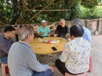 茂名市老科协深入高州市调研指导马来西亚一号菠萝蜜标准化生产