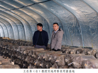 韶关市科协：积极赋能乡村产业振兴