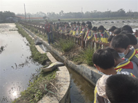 茂名高州市科协组织青少年开展社会主义核心价值观教育实践活动