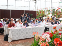 “南粤新贵·湾区之花”首届朱顶红国际交流论坛在东莞举办