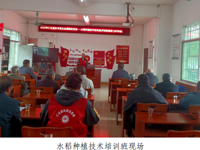 韶关市仁化县科协举办水稻种植技术培训班