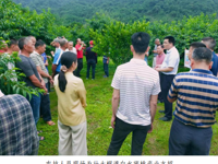 韶关市曲江区科协深入枫湾镇开展“全国科技活动周”送科技下乡活动