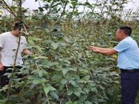 潮州市农科中心科普教育基地开展2023年全国科技活动周活动