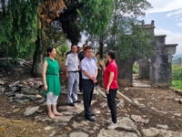 东莞市科协一行赴韶关乐昌沙坪镇开展乡村振兴帮扶工作