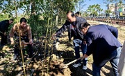 潮州市潮安区科协开展义务植树活动