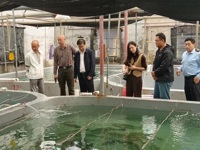 潮州市饶平县科协调研水产育苗养殖 助推百千万工程