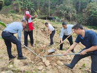 揭阳市科协开展“党旗红•乡村绿”义务植树活动