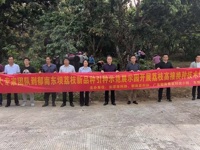 云浮市郁南县:建设荔枝新品种引种示范展示园，加快培育荔枝新质生产力