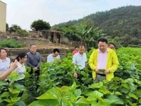 云浮市郁南县科协开展科技赋能+桑蚕种养技术讲座 助农种好桑养好蚕促蚕桑产业高质量发展