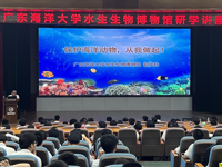 “中华白海豚保护宣传日”科普研学活动举办