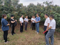 省老科协领导深入茂名市老科协调研指导工作