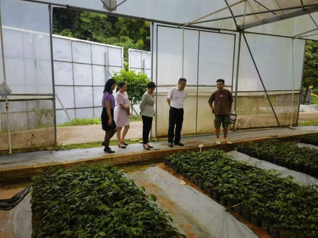 云浮市科协到云城区企业调研指导科普教育基地建设工作