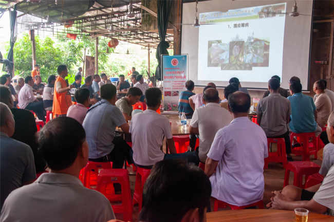 茂名市电白区科协开展生产技术培训，助推荔枝龙眼丰产丰收