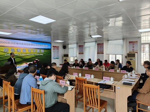 2025年湛江市科协系统信息培训交流活动举办