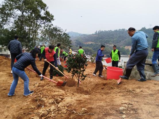 肇庆市科协第一党支部组织党员参加“爱绿植绿护绿兴绿”主题党日活动