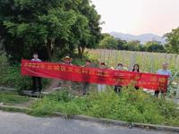 云浮市云城区举办2022年文化科技卫生“三下乡”活动